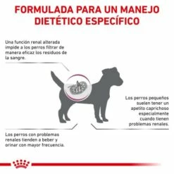 Royal Canin Renal Small Dogs 16 Royal Canin Renal Small Dogs -Suministros De Mascotas Ventas 2024 BENEFICIOS 62fcca76cdcf4 g