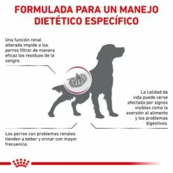 Royal Canin Pienso Renal Special Canine 18 Royal Canin Pienso Renal Special Canine -Suministros De Mascotas Ventas 2024 BENEFICIOS 62fccb18b48b5 g