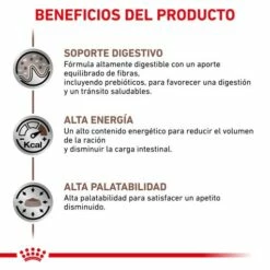 Royal Canin Gastro Intestinal -Suministros De Mascotas Ventas 2024 BENEFICIOS 62fce1c54c3fb g
