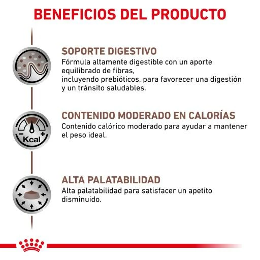 Royal Canin Comida Húmeda Gastro Intestinal Moderate Calorie Feline 8 Royal Canin Comida Húmeda Gastro Intestinal Moderate Calorie Feline - Imagen 6