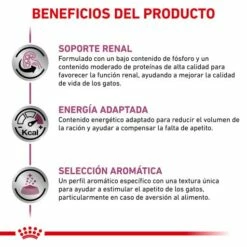 Royal Canin Renal Feline Con Ternera 12 Royal Canin Renal Feline Con Ternera -Suministros De Mascotas Ventas 2024 BENEFICIOS 62fce7005f66c g