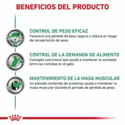 Royal Canin Comida Húmeda Satiety Weight Management Para Gato 13 Royal Canin Comida Húmeda Satiety Weight Management Para Gato -Suministros De Mascotas Ventas 2024 BENEFICIOS 62fce7fc164bc g