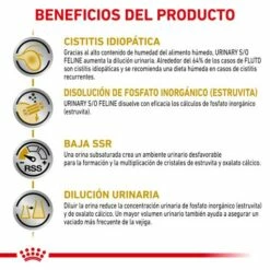Royal Canin Comida Húmeda VHN Urinary S/O Paté Para Gato 18 Royal Canin Comida Húmeda VHN Urinary S/O Paté Para Gato -Suministros De Mascotas Ventas 2024 BENEFICOIS 1 62fce5135341e g
