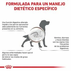 Royal Canin Pienso Gastrointestinal Low Fat 22 Para Perro -Suministros De Mascotas Ventas 2024 BENFICIOS 62fcc1ddd6962 g