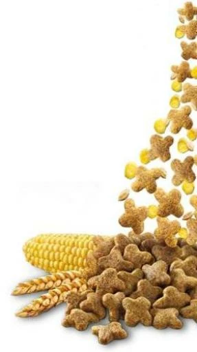 Brekkies Excel Pienso Complet Para Gatos Adultos 6 Brekkies Excel Pienso Complet Para Gatos Adultos - Imagen 4