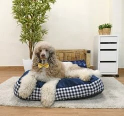 Musqui Colchón Confort De Cuadros Azul Marino Para Perros -Suministros De Mascotas Ventas 2024 Cama Vichy grande Life style 3 63a5897ef0b76 g