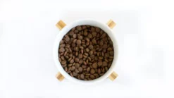 Lenda Pienso Senior/Mobility Para Perros Mayores Con Problemas Articulares -Suministros De Mascotas Ventas 2024 DSC02211 871x progressive 6490128cf149e g