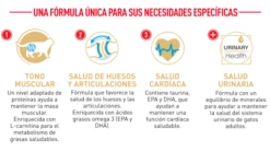 Royal Canin British Shorthair Pienso Para Gato Adulto De Raza 18 Royal Canin British Shorthair Pienso Para Gato Adulto De Raza -Suministros De Mascotas Ventas 2024 FBN Adult BritishShorth desk ES mod5 6303514c991cc g