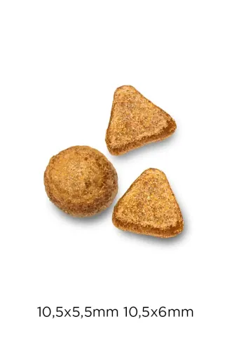 Optimanova Pienso Para Gatos Senior De Pollo 4 Optimanova Pienso Para Gatos Senior De Pollo - Imagen 2