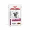 Royal Canin Renal Feline Con Ternera -Suministros De Mascotas Ventas 2024 HERO 62fce6fb2e0e4 g