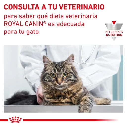 Royal Canin Pienso Hepatic Para Gatos 11 Royal Canin Pienso Hepatic Para Gatos - Imagen 9