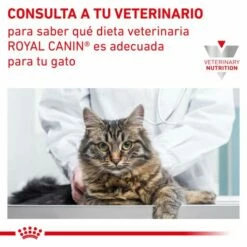 Royal Canin Gastro Intestinal -Suministros De Mascotas Ventas 2024 INFO 62fce1c7f1efd g