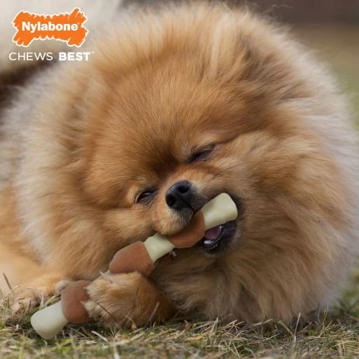 Nylabone EC Shish Kebab Chicken 5 Nylabone EC Shish Kebab Chicken - Imagen 3