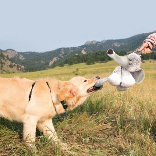 KONG Peluche Stretchezz Legz Bear Para Perros 4 KONG Peluche Stretchezz Legz Bear Para Perros - Imagen 2