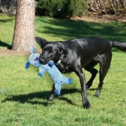 KONG Peluche Speckles Mono Para Perros -Suministros De Mascotas Ventas 2024 LWS13 2 1000x1000 62ea3fe38b36a g