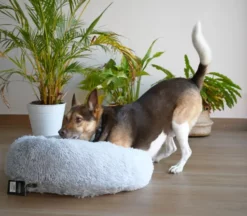 Musqui Cama Redonda Relax Gris Claro Para Perros Y Gatos -Suministros De Mascotas Ventas 2024 Life Style Loki Camas grandes 4 638e058521a29 g