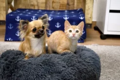 Musqui Cama Redonda Relax Gris Claro Para Perros Y Gatos -Suministros De Mascotas Ventas 2024 Life style Tina y Leia Camas pequenas 1 638e0586236d2 g