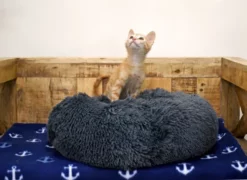 Musqui Cama Redonda Relax Gris Oscuro Para Perros Y Gatos 17 Musqui Cama Redonda Relax Gris Oscuro Para Perros Y Gatos -Suministros De Mascotas Ventas 2024 Life style Tina y Leia Camas pequenas 28 638e059dc2fe7 g