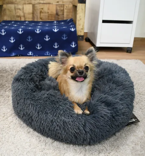 Musqui Cama Redonda Relax Gris Oscuro Para Perros Y Gatos 4 Musqui Cama Redonda Relax Gris Oscuro Para Perros Y Gatos - Imagen 2