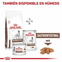 Royal Canin Pienso Gastrointestinal 25 Para Perro -Suministros De Mascotas Ventas 2024 MIX FEEDING 62fcc15bbe922 g
