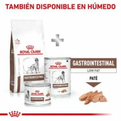 Royal Canin Pienso Gastrointestinal Low Fat 22 Para Perro -Suministros De Mascotas Ventas 2024 MIX FEEDING 62fcc1d6abdc9 g