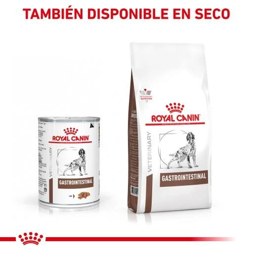 Royal Canin Comida Húmeda Gastro Intestinal Canine 6 Royal Canin Comida Húmeda Gastro Intestinal Canine - Imagen 4