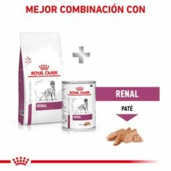 Royal Canin Pienso Renal Canine -Suministros De Mascotas Ventas 2024 MIX FEEDING 62fcca5e33839 g