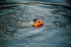 Julius K9 Motivador Multidummy Multifunción Para Perros -Suministros De Mascotas Ventas 2024 Motivador Multidummy Multifuncion 6478ac1b19b37 g