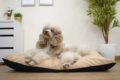 Musqui Cojín Desenfundable Ethnic Beige Para Perros Y Gatos 5 Musqui Cojín Desenfundable Ethnic Beige Para Perros Y Gatos - Imagen 3