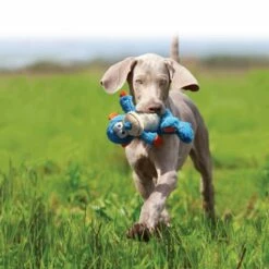 KONG Peluche Cross Knots Elefante 5 KONG Peluche Cross Knots Elefante -Suministros De Mascotas Ventas 2024 NKX14E 2 20190319061516 20190319061622 1000x1000 62ea41fbed1b8 g