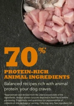 Acana Pienso Para Cachorros De Raza Grande De Pollo -Suministros De Mascotas Ventas 2024 NS ACANA Dog IngredientsPUPPY LARGE 556x800 630f01eb844c0 g