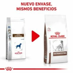 Royal Canin Pienso Gastrointestinal 25 Para Perro -Suministros De Mascotas Ventas 2024 NUEVA IMAGEN 62fcc1560df28 g