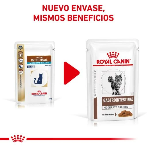 Royal Canin Comida Húmeda Gastro Intestinal Moderate Calorie Feline 5 Royal Canin Comida Húmeda Gastro Intestinal Moderate Calorie Feline - Imagen 3