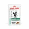 Royal Canin Comida Húmeda Diabetic Para Gato -Suministros De Mascotas Ventas 2024 PACKSHOT 1 62fce7b9d4836 g