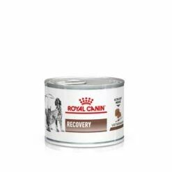 Pack 12 Royal Canin Comida Húmeda Recovery Canine & Feline