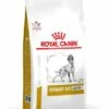 Royal Canin Urinary Ageing+7 1 Royal Canin Urinary Ageing+7 -Suministros De Mascotas Ventas 2024 PACKSHOT 62fcc6d15d3d2 g