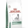 Royal Canin Pienso Diabetic Canine -Suministros De Mascotas Ventas 2024 PACKSHOT 62fcdedd0b852 g
