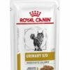 Royal Canin Comida Húmeda Urinary S/O Moderate Calorie -Suministros De Mascotas Ventas 2024 PACKSHOT 62fce5313540c g