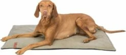 Trixie Colchoneta Be Nordic Föhr Arena Para Perros 13 Trixie Colchoneta Be Nordic Föhr Arena Para Perros -Suministros De Mascotas Ventas 2024 PHO PRO DOG CLIP 37468 37469 1 SALL AWK V1 64b7aabd5daa4 g