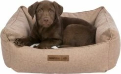 Trixie Cama Farello Marrón Y Blanco Para Perros -Suministros De Mascotas Ventas 2024 PHO PRO DOG CLIP 37646 1 SALL AWK V1 64b7ad63eef31 g