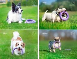 Collar Puller Juguete Mordedor -Suministros De Mascotas Ventas 2024 Puller comp 62fe1109a1c04 g