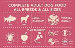 Panzi Puppy Junior Cordero, Manzana Y Arroz 5 Panzi Puppy Junior Cordero, Manzana Y Arroz -Suministros De Mascotas Ventas 2024 Puppy Junior Cordero Manzana y Arroz 635690c0596fc g