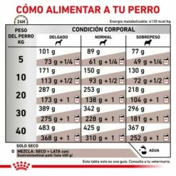 Royal Canin Pienso Gastrointestinal 25 Para Perro -Suministros De Mascotas Ventas 2024 RACIONAMIENTO 62fcc15d62a96 g