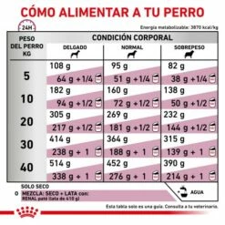 Royal Canin Pienso Renal Special Canine 21 Royal Canin Pienso Renal Special Canine -Suministros De Mascotas Ventas 2024 RACIONAMIENTO 62fccb1cb9d92 g