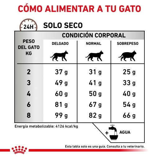 Royal Canin Pienso Hepatic Para Gatos 12 Royal Canin Pienso Hepatic Para Gatos - Imagen 10
