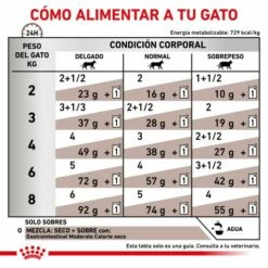 Royal Canin Comida Húmeda Gastro Intestinal Moderate Calorie Feline 19 Royal Canin Comida Húmeda Gastro Intestinal Moderate Calorie Feline -Suministros De Mascotas Ventas 2024 RACIONAMIENTO 62fce211ccdfe g