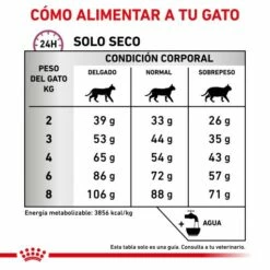 Royal Canin Pienso Mobility Para Gato 19 Royal Canin Pienso Mobility Para Gato -Suministros De Mascotas Ventas 2024 RACIONAMIENTO 62fce5b59d975 g