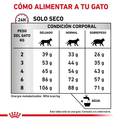 Royal Canin Pienso Mobility Para Gato 11 Royal Canin Pienso Mobility Para Gato - Imagen 9