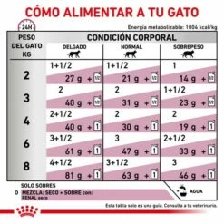 Royal Canin Renal Feline Con Ternera 15 Royal Canin Renal Feline Con Ternera -Suministros De Mascotas Ventas 2024 RACIONAMIENTO 62fce704aab70 g