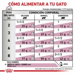 Royal Canin Comida Húmeda Renal Con Pollo Para Gato -Suministros De Mascotas Ventas 2024 RACIONAMIENTO 62fce7285e275 g